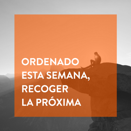 Ordenado esta semana, recoger la próxima semana.